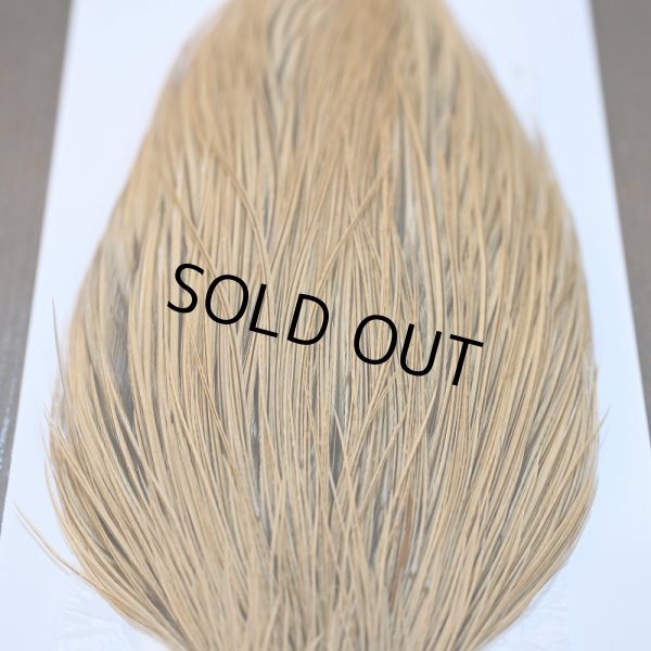 画像5: 【Whiting】Hebert ROOSTER CAPE Pro Grade - GOLDEN BADGER No.1 (5)