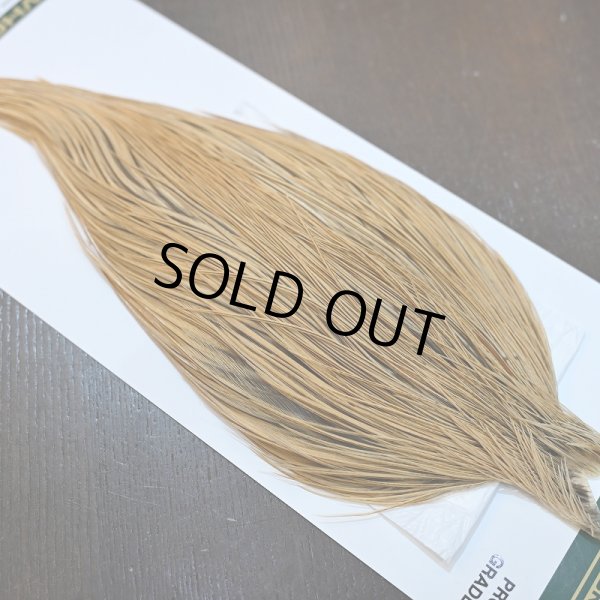 画像4: 【Whiting】Hebert ROOSTER CAPE Pro Grade - GOLDEN BADGER No.1 (4)