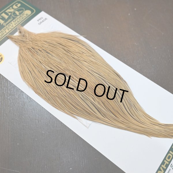 画像2: 【Whiting】Hebert ROOSTER CAPE Pro Grade - GOLDEN BADGER No.1 (2)