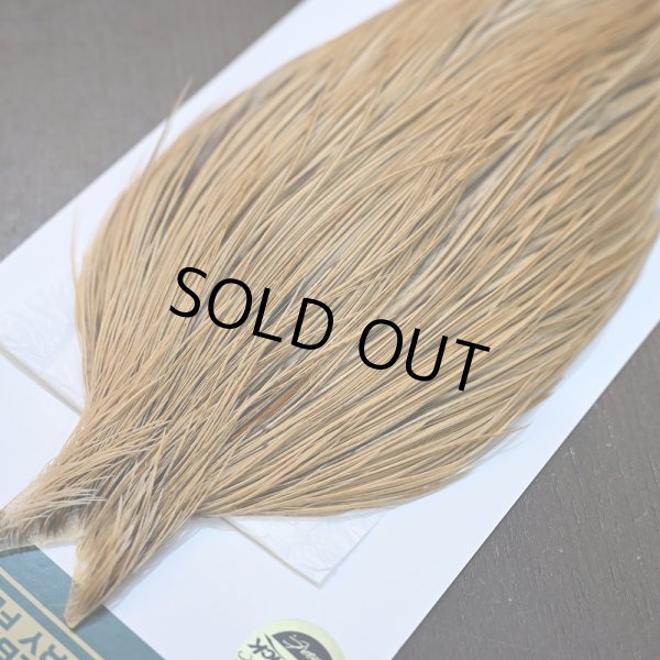 画像3: 【Whiting】Hebert ROOSTER CAPE Pro Grade - GOLDEN BADGER No.1 (3)