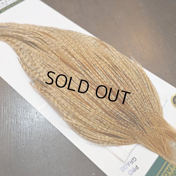 画像4: 【WHITING】Hebert ROOSTER CAPE Pro Grade - BARRED Medium Ginger No.2 (4)