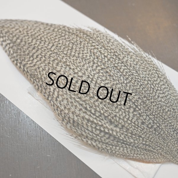 画像4: 【WHITING】Hebert ROOSTER CAPE PRO Grade - Grizzly No.2 (4)