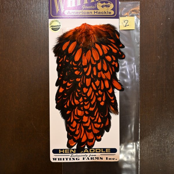 画像2: 【WHITING】American Hen Saddle BLW/ORANGE (2)