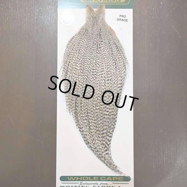 画像1: 【WHITING】Hebert ROOSTER CAPE PRO Grade - Grizzly No.2 (1)