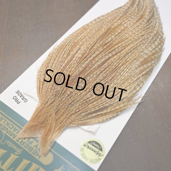 画像3: 【WHITING】Hebert ROOSTER CAPE Pro Grade - BARRED Medium Ginger No.2 (3)