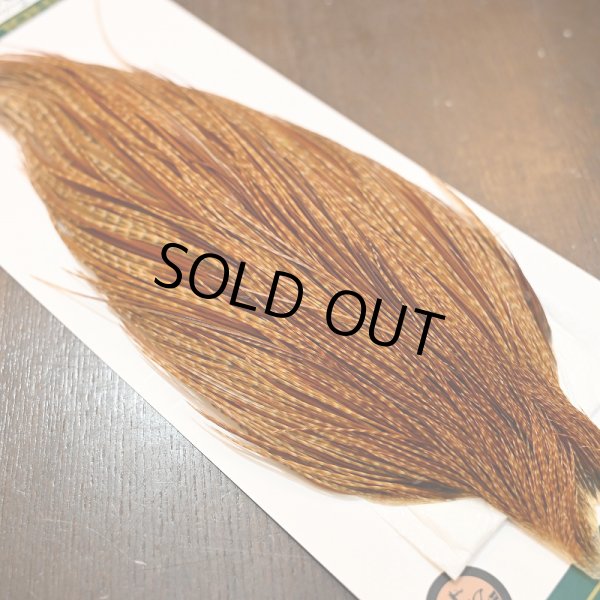 画像4: 【WHITING】Hebert ROOSTER CAPE Bronze Grade - BARRED DARK GINGER (4)