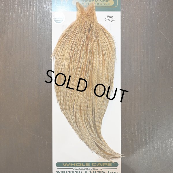 画像1: 【WHITING】Hebert ROOSTER CAPE Pro Grade - BARRED Medium Ginger No.2 (1)