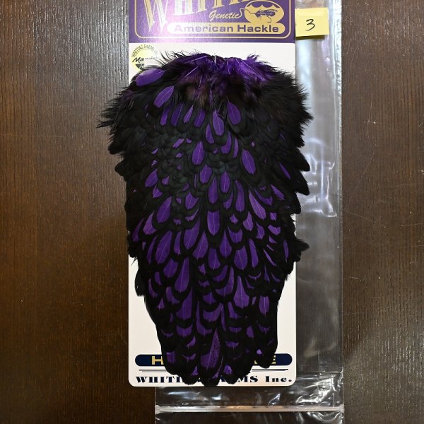 画像3: 【WHITING】American Hen Saddle BLW/PURPLE (3)