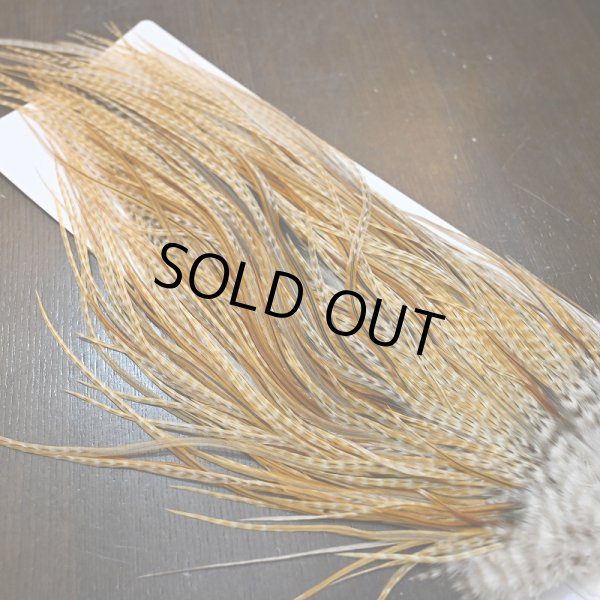 画像4: 【WHITING】Hebert Pro Grade Rooster Saddle - Barred Medium Ginger (4)