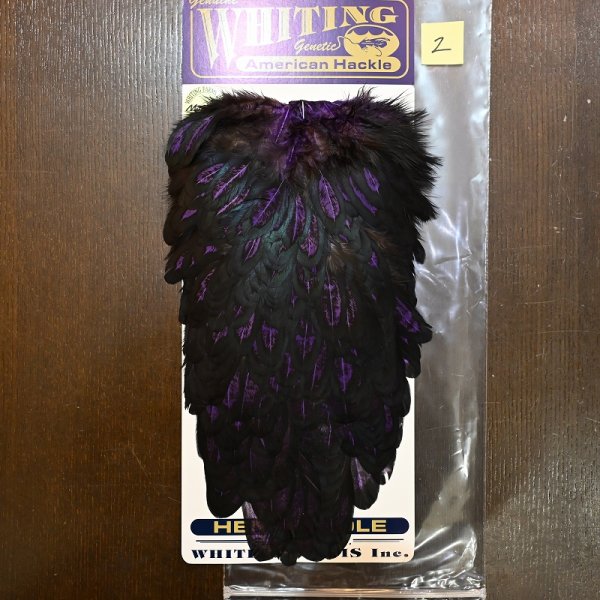 画像2: 【WHITING】American Hen Saddle BLW/PURPLE (2)