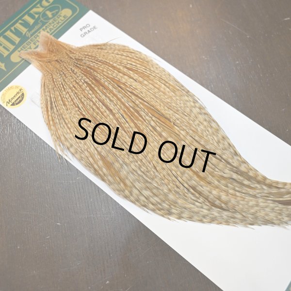 画像2: 【WHITING】Hebert ROOSTER CAPE Pro Grade - BARRED Medium Ginger No.2 (2)