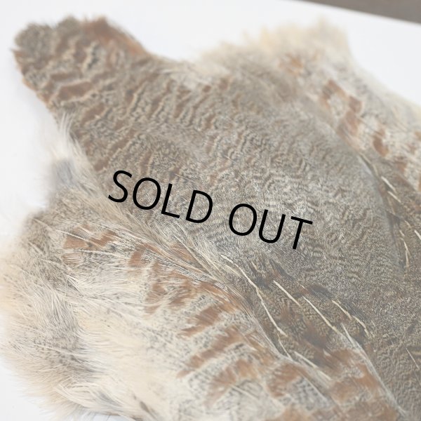 画像4: ハンガリアンパートリッジ コンプリート (4)