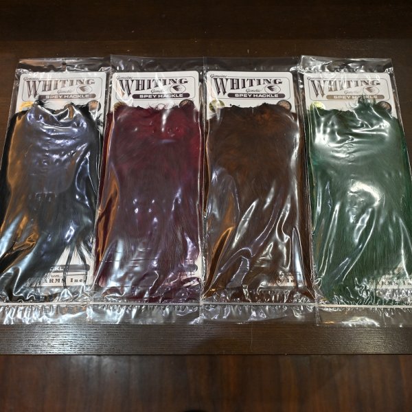 画像4: 【WHITING】 Spey Hackle Saddle BRONZE GRADE (4)