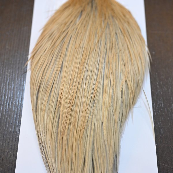 画像5: 【WHITING】Hebert ROOSTER CAPE Pro Grade - LT GINGER No.1 (5)