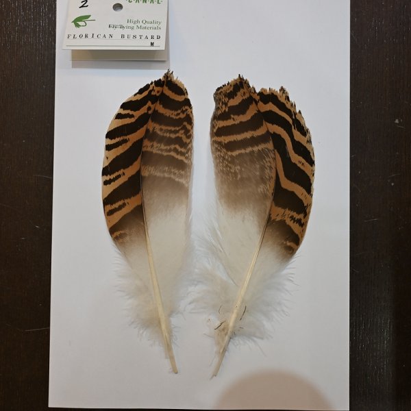 画像2: 【CANAL】 Florican Bustard Mサイズ (2)