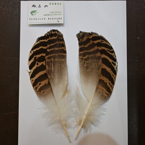 画像2: 【CANAL】 Florican Bustard Lサイズ(フロリカンバスタード) (2)