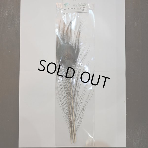 画像1: 【CANAL】ストリップド ピーコック XL (1)