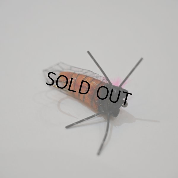 画像2: リアル ハルゼミ ドライフライ Ver.2 #6 (2)