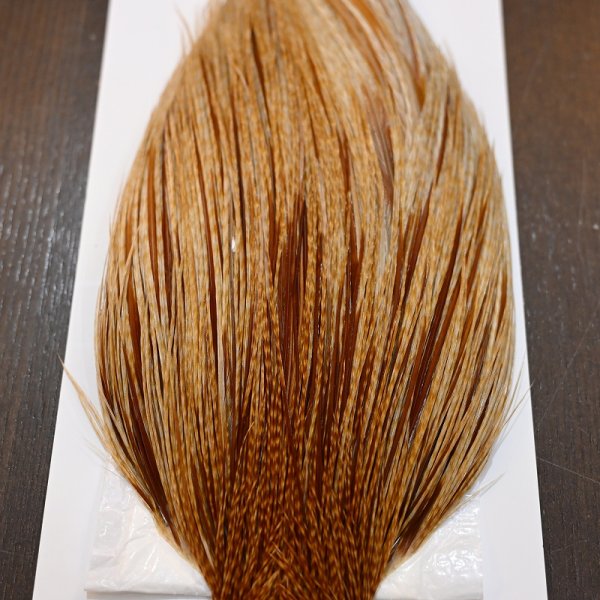 画像3: 【WHITING】Hebert ROOSTER CAPE Silver grade - Barred Medium Ginger No.2 (3)