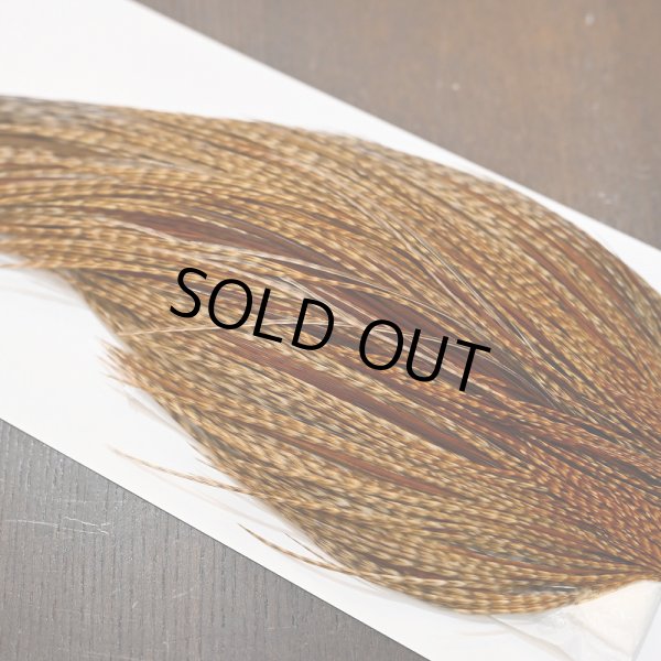 画像4: 【WHITING】Hebert ROOSTER CAPE Silver grade - BARRED DARK GINGER (4)