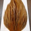 画像3: 【WHITING】Hebert ROOSTER CAPE Silver grade - BARRED DARK GINGER (3)