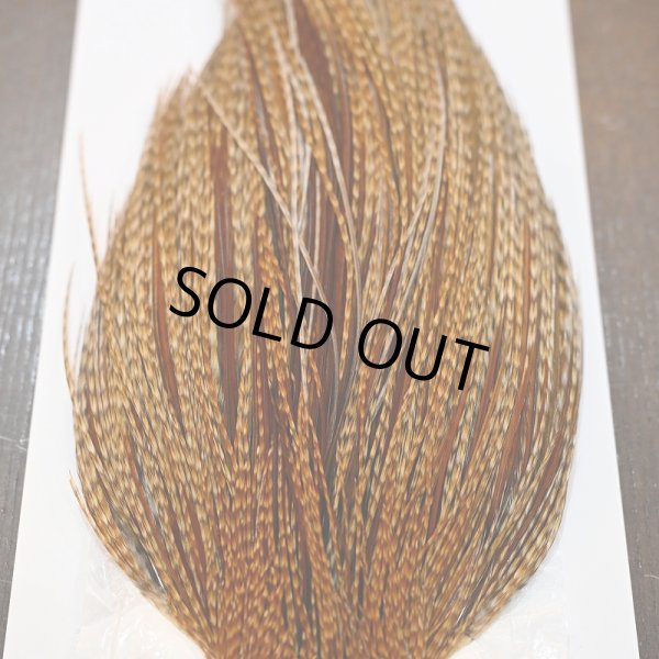 画像3: 【WHITING】Hebert ROOSTER CAPE Silver grade - BARRED DARK GINGER (3)