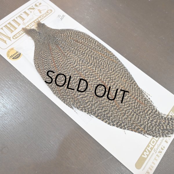 画像2: 【Whiting】HERITAGE ROOSTER CAPE PRO GRADE No.4 (2)