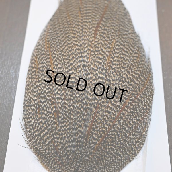 画像4: 【Whiting】HERITAGE ROOSTER CAPE PRO GRADE No.4 (4)