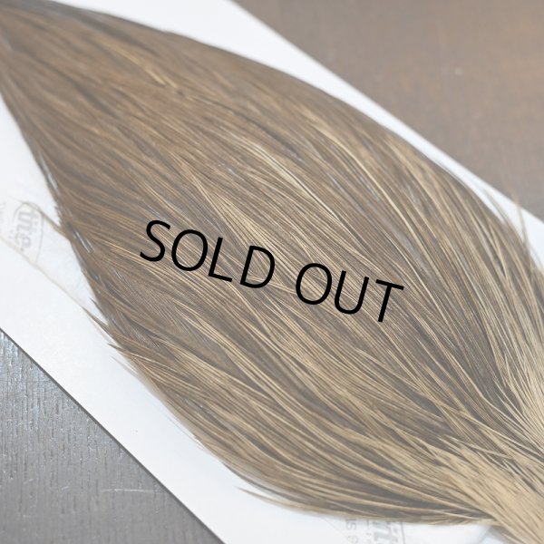 画像5: 【Whiting】HERITAGE ROOSTER CAPE PRO GRADE No.7 (5)