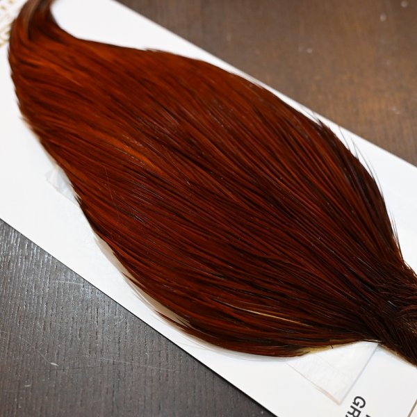 画像5: 【Whiting】HERITAGE ROOSTER CAPE PRO GRADE No.9 (5)