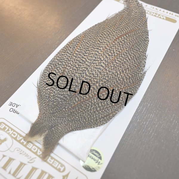 画像3: 【Whiting】HERITAGE ROOSTER CAPE PRO GRADE No.4 (3)