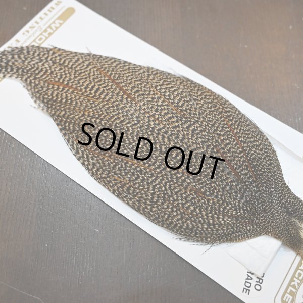 画像5: 【Whiting】HERITAGE ROOSTER CAPE PRO GRADE No.4 (5)