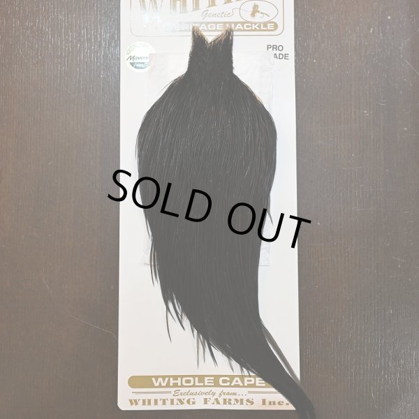 画像1: 【Whiting】HERITAGE ROOSTER CAPE PRO GRADE No.8 (1)