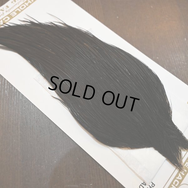 画像5: 【Whiting】HERITAGE ROOSTER CAPE PRO GRADE No.8 (5)