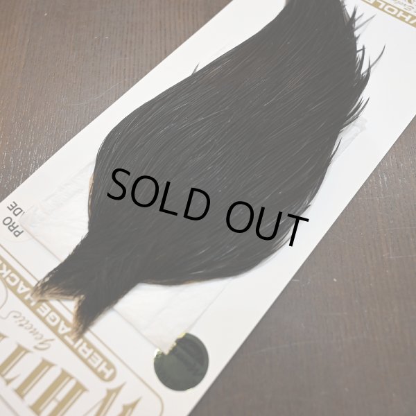 画像3: 【Whiting】HERITAGE ROOSTER CAPE PRO GRADE No.8 (3)