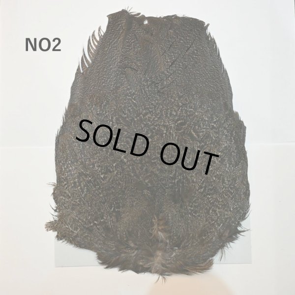 画像2: 【WHITING】Coq de Leon Hen Wing - BRONZE GRADE   (2)