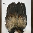 画像2: 【WHITING】Coq de Leon Rooster Wing  - PRO GRADE (2)