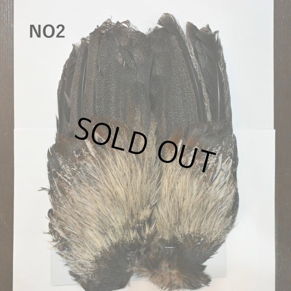 画像2: 【WHITING】Coq de Leon Rooster Wing  - PRO GRADE (2)