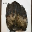 画像5: 【WHITING】Coq de Leon Rooster Wing - BRONZE GRADE   (5)