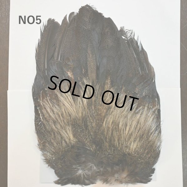 画像5: 【WHITING】Coq de Leon Rooster Wing - BRONZE GRADE   (5)