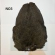 画像3: 【WHITING】Coq de Leon Hen Wing - BRONZE GRADE   (3)