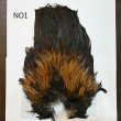 画像1: 【WHITING】Coq de Leon Rooster Wing  - PRO GRADE (1)