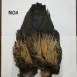 画像4: 【WHITING】Coq de Leon Rooster Wing - BRONZE GRADE   (4)