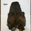 画像4: 【WHITING】Coq de Leon Rooster Wing  - PRO GRADE (4)