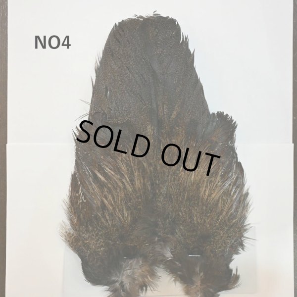 画像4: 【WHITING】Coq de Leon Rooster Wing  - PRO GRADE (4)