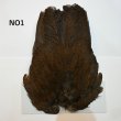 画像1: 【WHITING】Coq de Leon Hen Wing - PRO GRADE (1)