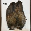 画像3: 【WHITING】Coq de Leon Rooster Wing - BRONZE GRADE   (3)