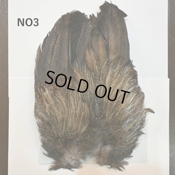 画像3: 【WHITING】Coq de Leon Rooster Wing - BRONZE GRADE   (3)