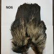 画像6: 【WHITING】Coq de Leon Rooster Wing - BRONZE GRADE   (6)