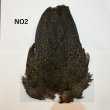 画像2: 【WHITING】Coq de Leon Hen Wing - PRO GRADE (2)